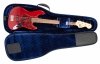 Reunion Blues Expedition Electric Bass Case